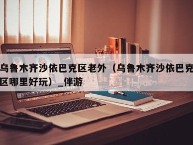 乌鲁木齐沙依巴克区老外（乌鲁木齐沙依巴克区哪里好玩）_伴游