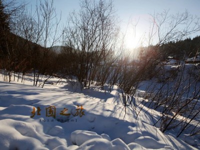 三亚北国冰雪世界：梦幻冬季之旅