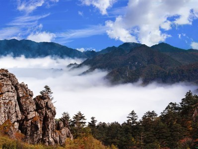 三亚神农架：秘境之旅，云海奇观，草原牧歌，探寻世外桃源